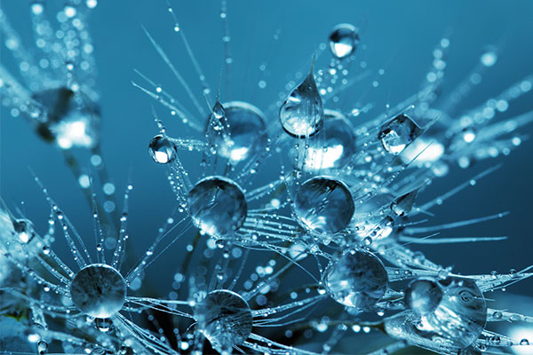 Napa Penting Gunakake Kalsium L-Methylfolate Kanthi Stabilitas Sampurna?