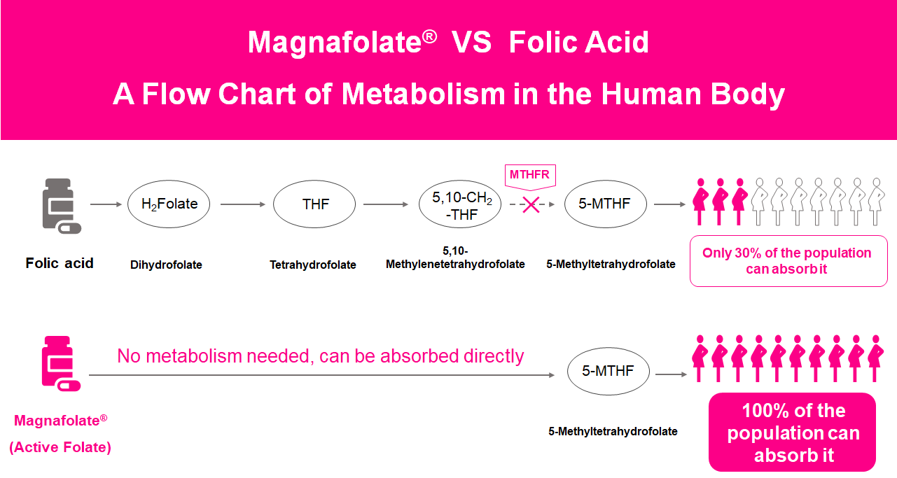 Bagan alur Metabolisme ing awak manungsa, Aktif Folat VS Asam Folat