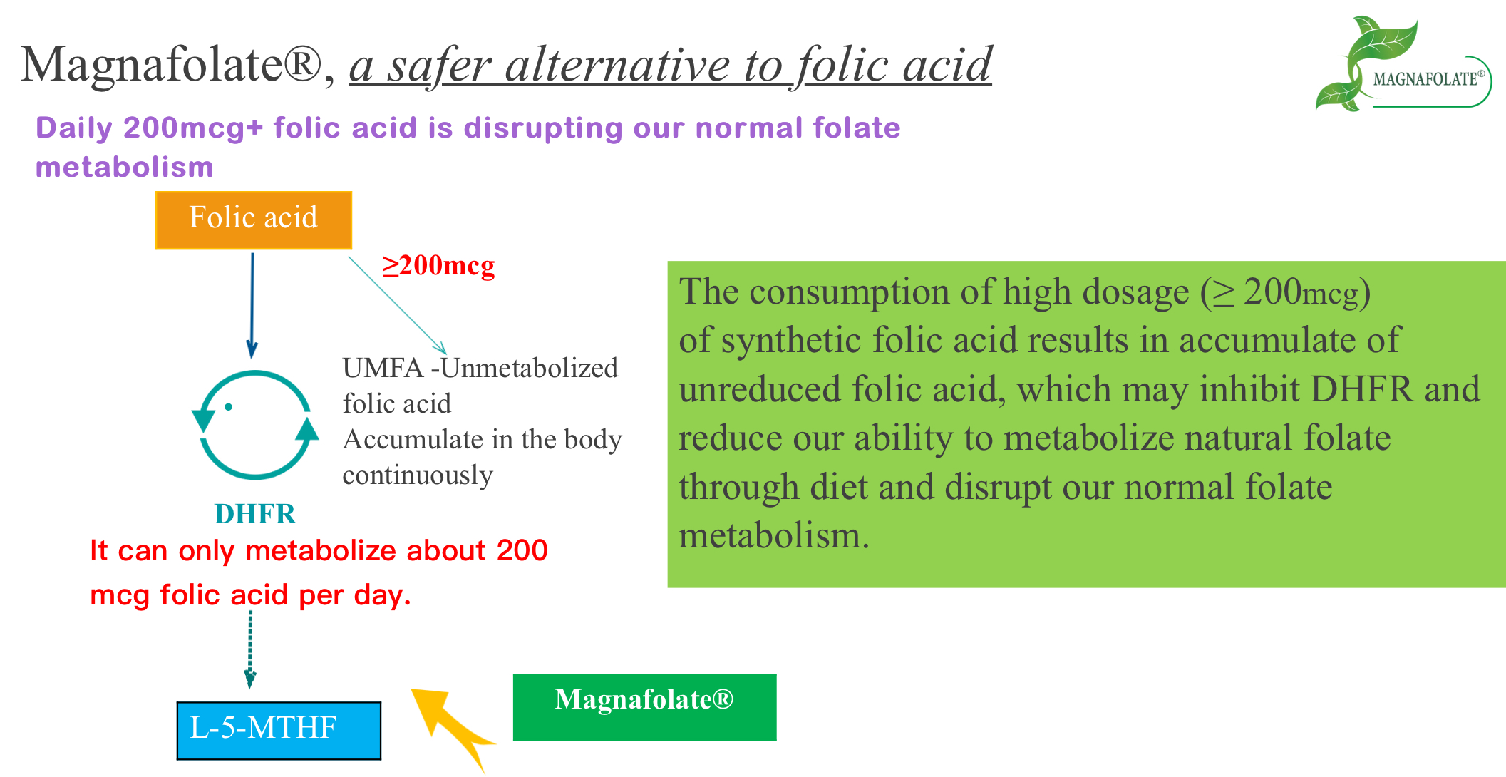 Magnafolate, Alternatif sing Luwih Aman kanggo Asam Folat