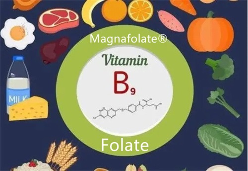 Apa anemia kekurangan folat?