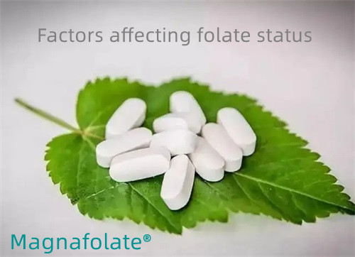 Sawetara faktor sing mengaruhi status folat