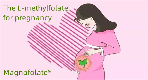 Folat lan L Methylfolate ing wong meteng