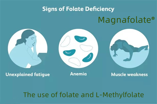 Panganggone folat lan L-Methylfolate