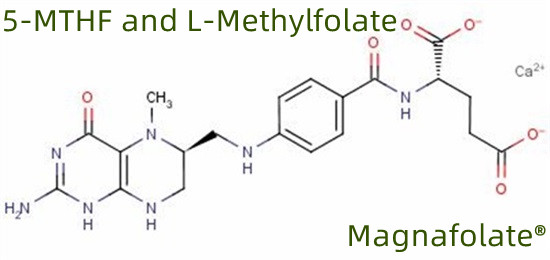 5-MTHF lan L-Metilfolat