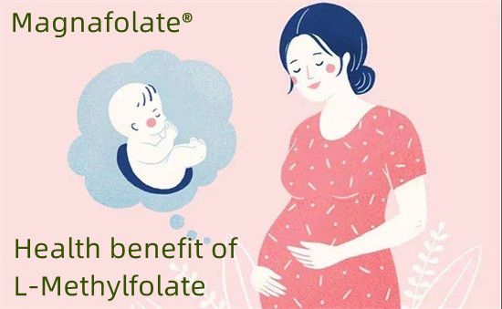 Nyegah cacat tabung saraf kanthi l-methylfolate