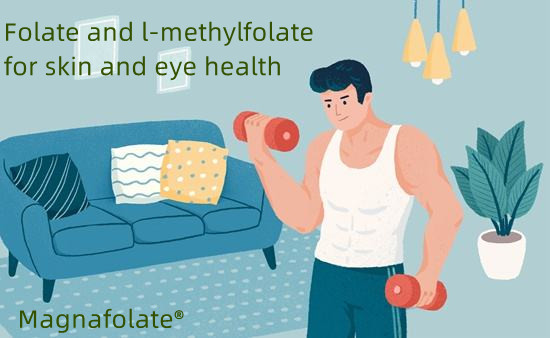 Folat lan l-methylfolate kanggo kesehatan kulit lan mripat