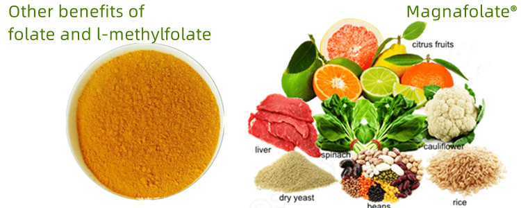 Manfaat liyane saka folat lan L-Methylfolate
