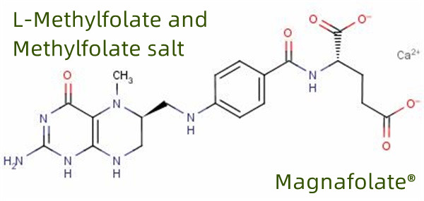 Produsen & Supplier Global L Methylfolate