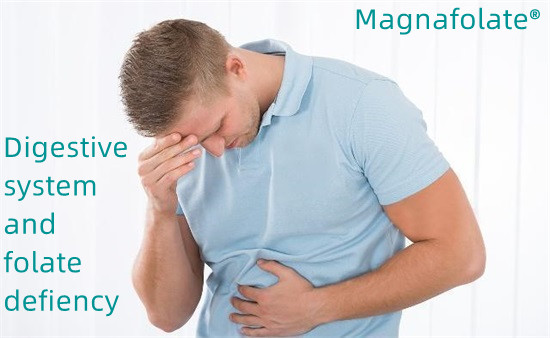 Sistem pencernaan lan kekurangan folat-Magnafolate