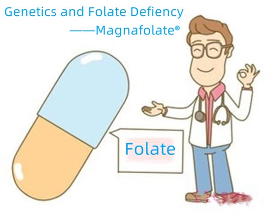 Genetika lan Kekurangan Folat-Magnafolate