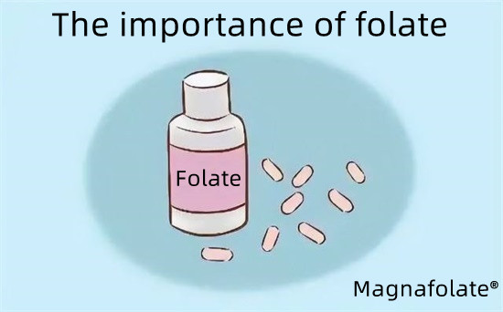 Pentinge folat-Magnafolate