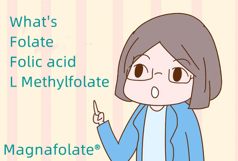 Apa folat lan asam folat lan L Methylfolate?