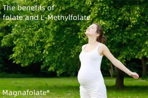 Folat lan meteng - Magnafolate