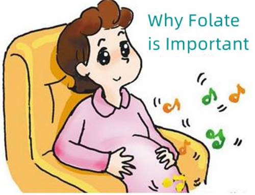 Napa Folat Penting?
