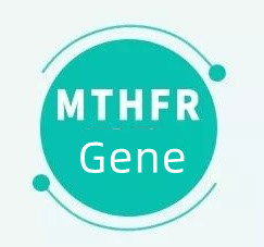 Apa tegese yen sampeyan duwe gen MTHFR?