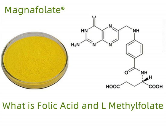 Apa folat VS asam folat VS L-metilfolat