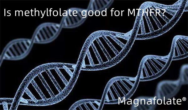 Apa methylfolate apik kanggo MTHFR?