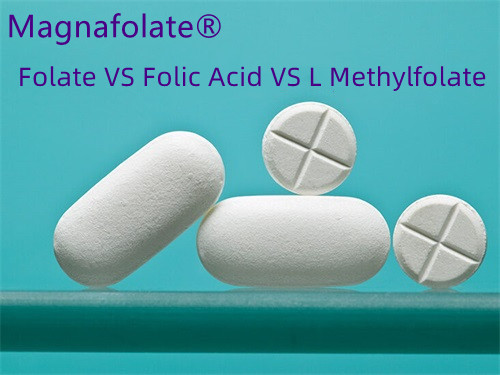 Asam Folat vs. Folat: Endi sing Luwih Apik?
