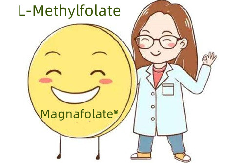 Napa methylfolate luwih apik tinimbang asam folat?