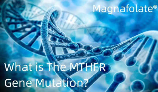 Apa Mutasi Gene MTHFR?