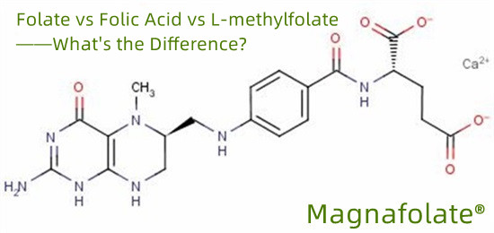 Apa methylfolate minangka wangun asam folat?