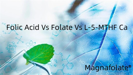 Asam Folat Vs Folat Vs L-5-MTHF Ca