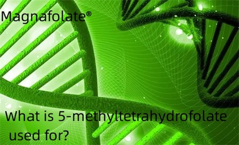 Apa 5-methyltetrahydrofolate digunakake?