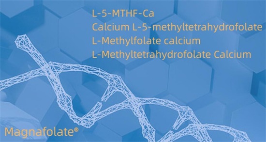 Kalsium L-5-methyltetrahydrofolate Cas151533-22-1