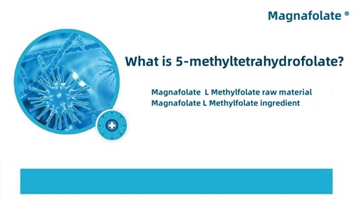 Apa 5-methyltetrahydrofolate?