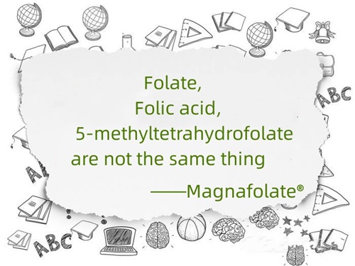 Folat, asam folat lan 5-methyltetrahydrofolate ora padha