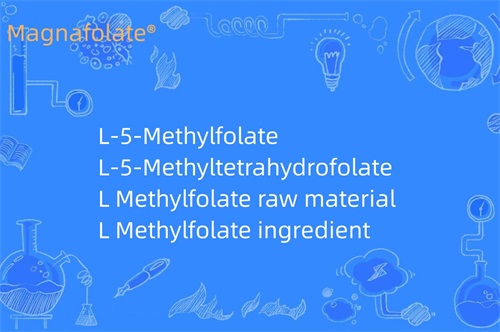 Apa fungsi L Methylfolate?