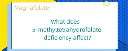 Apa kena pengaruh kekurangan 5-methyltetrahydrofolate?