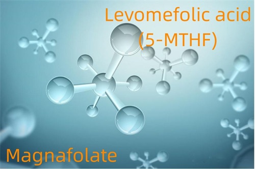 Asam Levomefolic (5-MTHF) -Magnafolate