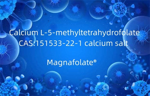 Kalsium L-5-methyltetrahydrofolate 151533-22-1 uyah kalsium