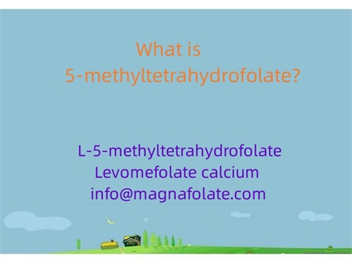 Apa 5-methyltetrahydrofolate?