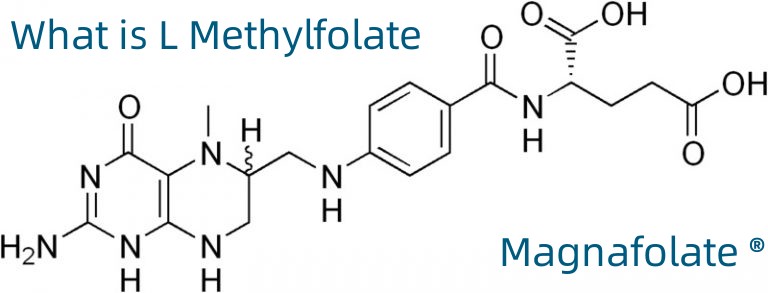L-5-Methyltetrahydrofolate Kalsium No. CAS:151533-22-1