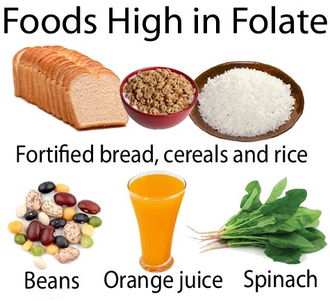 Klasifikasi Folat - Folat Pangan