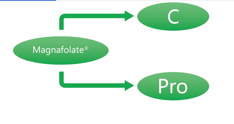 Magnafolate C lan Pro-L-Metilfolat Kalsium