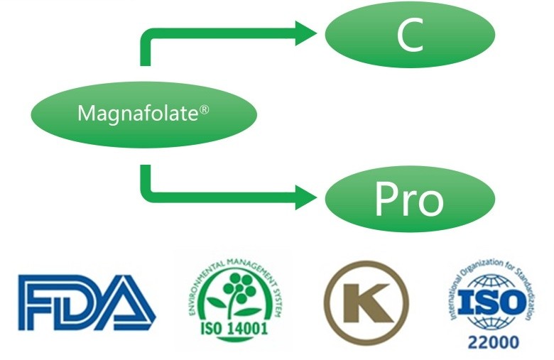 Apa Kalsium L-5-methyltetrahydrofolate? Apa sing supplier?