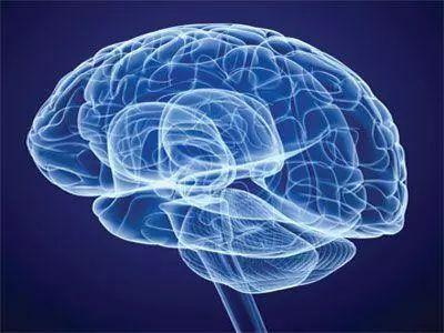 Folat nglindhungi sistem saraf lan nyegah demensia lan Parkinson