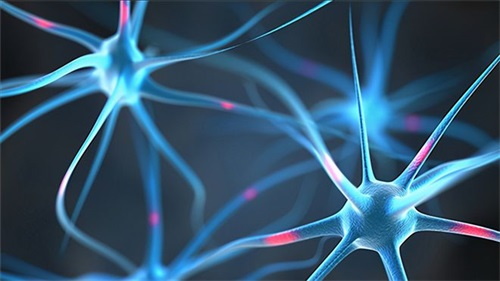 Napa Kekurangan Folat Bisa Nimbulake Masalah Neurologis