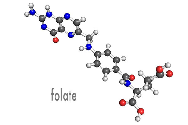 Seri Pambuka kanggo Aktif Folate Impurities