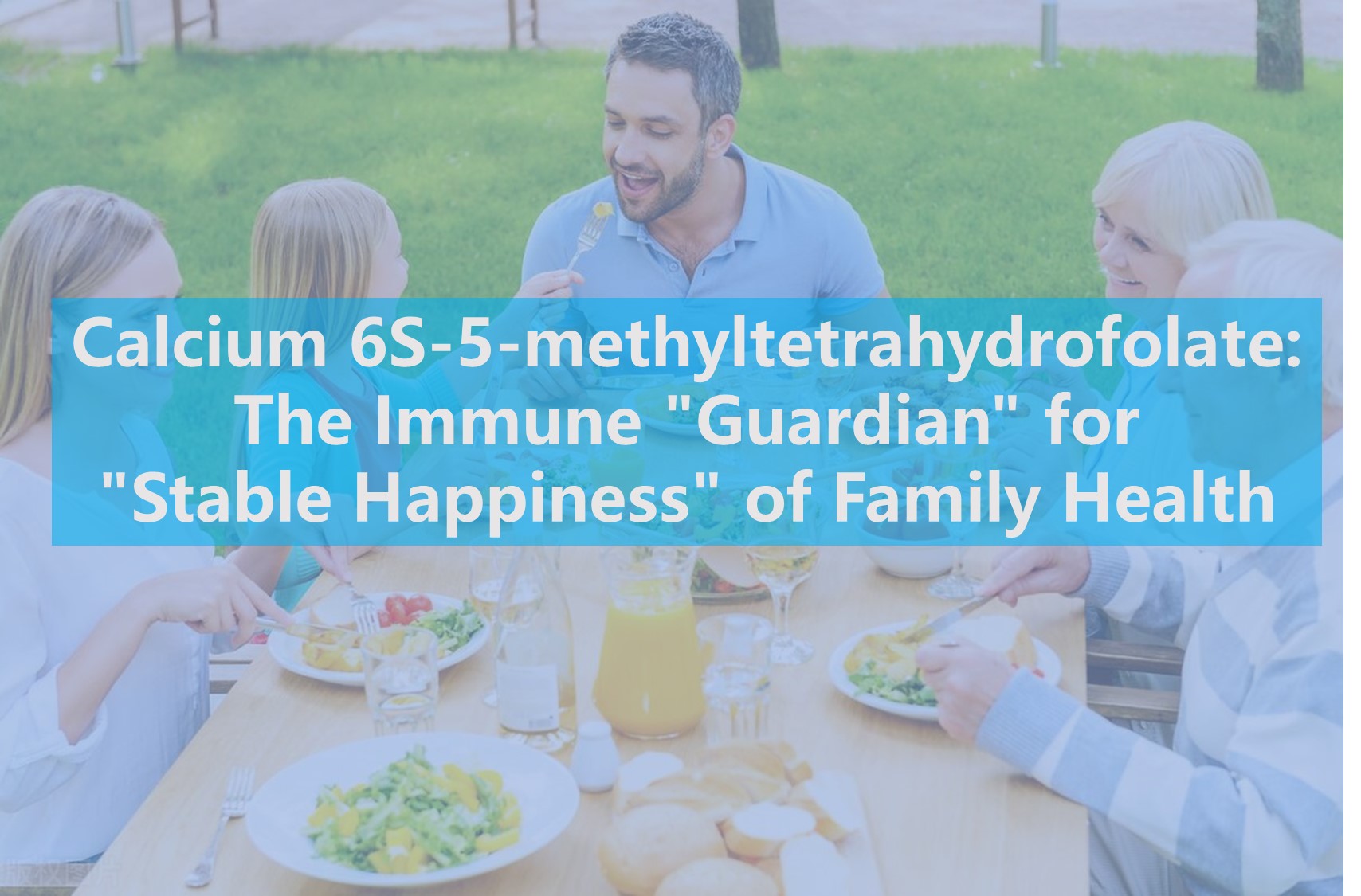 Kalsium 6S-5-MethyltetraHydrofik: Guardian 